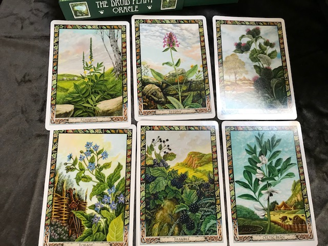 The Druid Plant Oracle Deck - Image 9