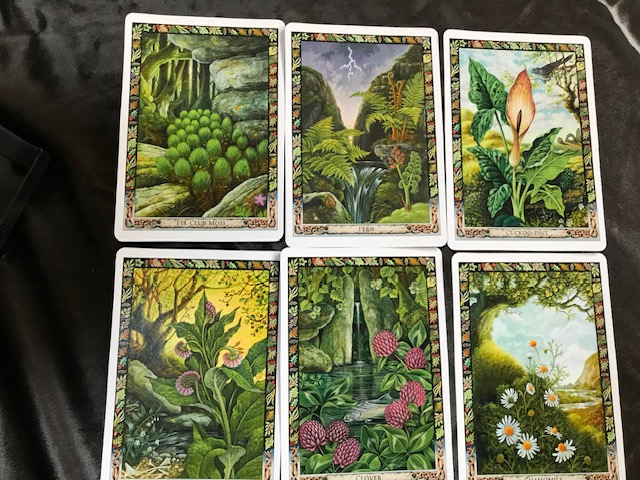 The Druid Plant Oracle Deck - Image 8