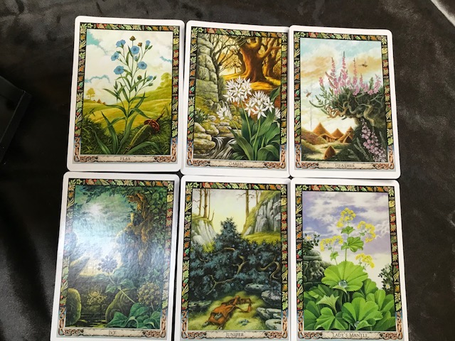 The Druid Plant Oracle Deck - Image 7