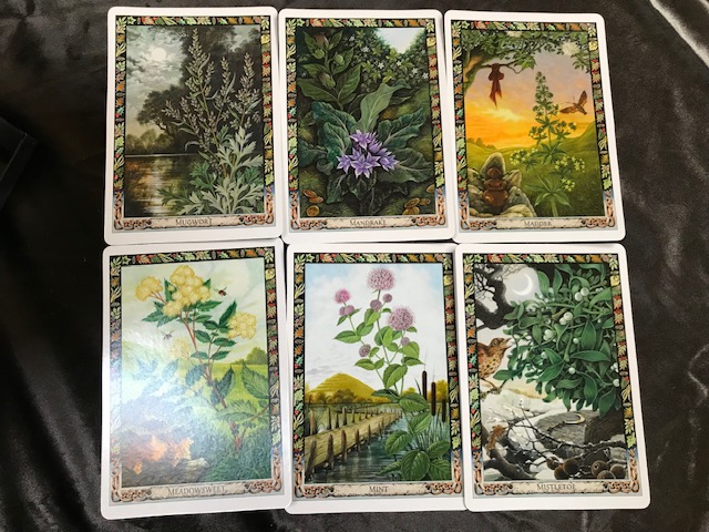 The Druid Plant Oracle Deck - Image 6