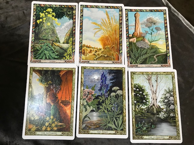 The Druid Plant Oracle Deck - Image 5