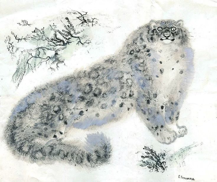 Nepalese Snow Leopard Black Tea